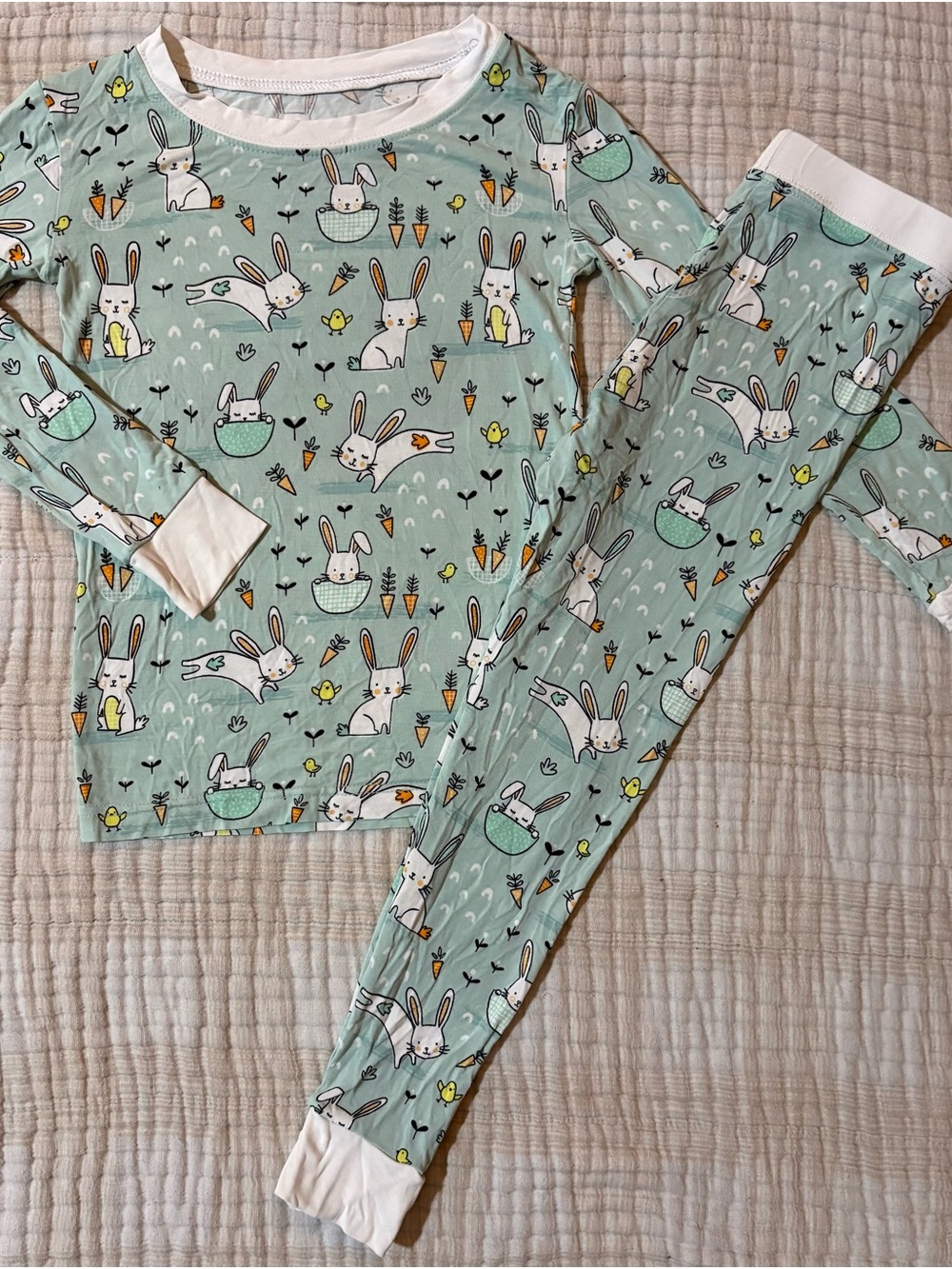 Little Sleepies Mint Bunny and Carrot Pajama Set with White Trim